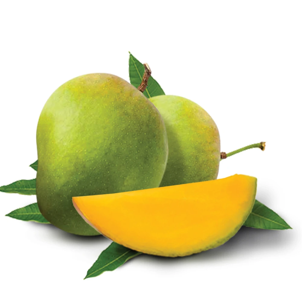 Himsagor